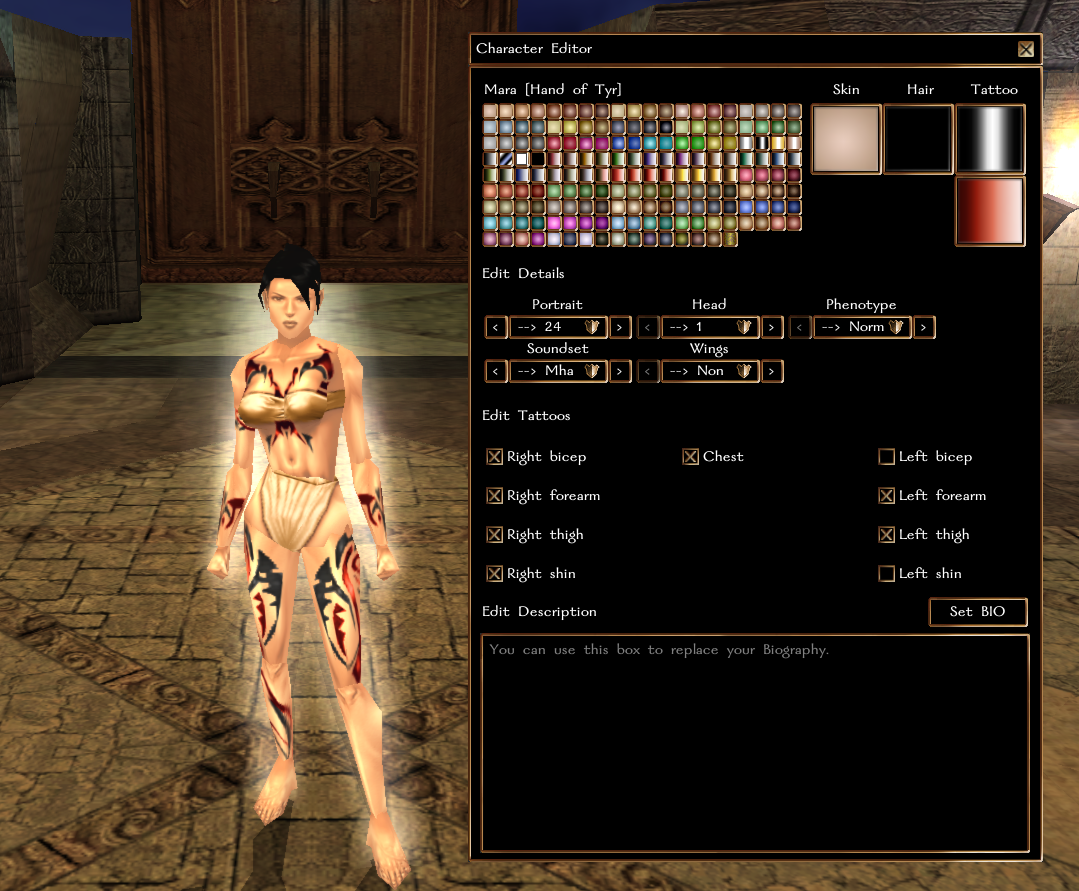 The character editor